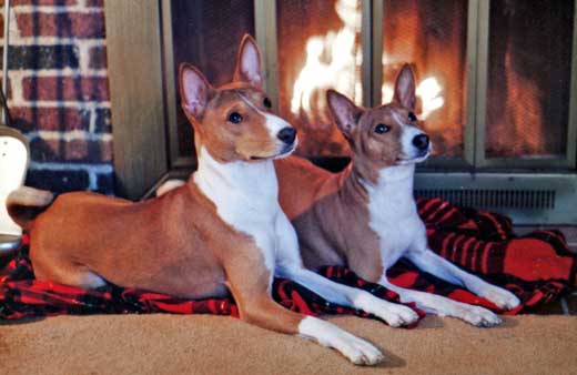 Shasta and Skyler in front of the fireplace.